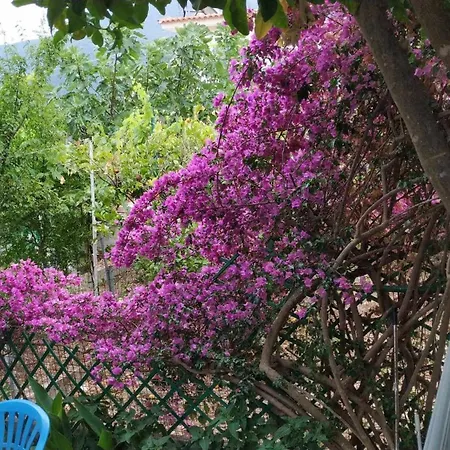 Appartamento Nona's Karavomylos